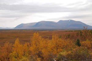 Site of the proposed Pebble Mine subject of Pebble Mine Trial