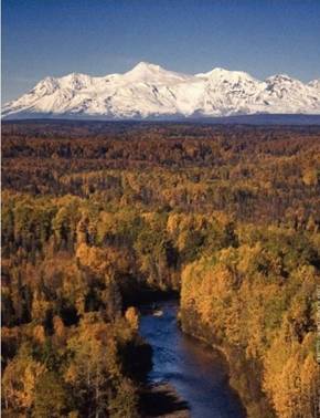 Chuitna by Danion Brook Kintz