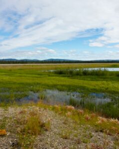Lands around the village of Allakaket, just one of the communities that will be affected by the proposed Ambler Road Project. Photo by Suzanne Bostrom.