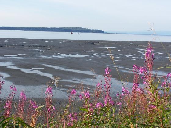 A view of where the Knik Arm Bridge would have been built. Thankfully the project has been shut down. Photo: J Stephen Conn Flickr Creative Commons