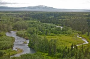 Upper Talarik Creek in Bristol Bay. Photo Courtesy of Dr. Carol Ann Woody.