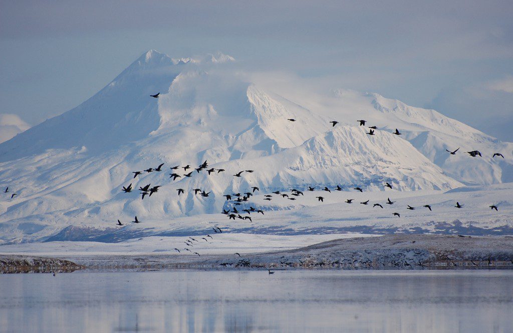 Public lands and the National Wildlife Refuge system require protection. That's why we're taking Trump to Court. Again.