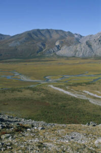 Arctic National Wildlife Refuge