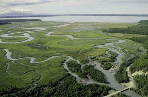 eagle_river_flats landscape