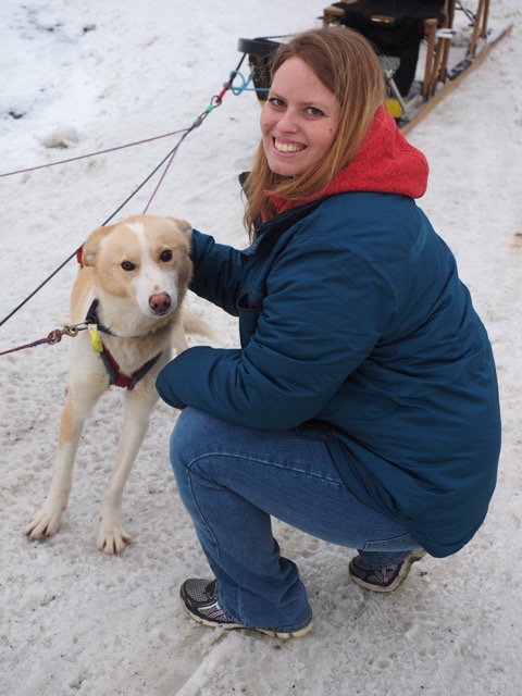 Jennie visiting with a sled dog during Fur Rendezvous.