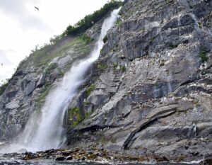 Kittiwakes galor flying and landing near a rookery waterfall.