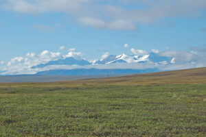 The Arctic Refuge