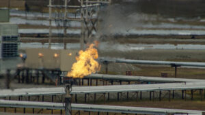 Prudhoe Bay's spiderweb of pipelines have impacts of animals and subsistence uses.