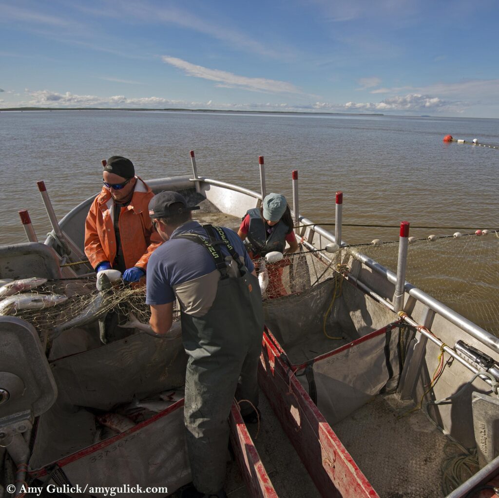 EPA paves way for Pebble, putting the people who fish in peril of a devastating hazardous industrial mine.