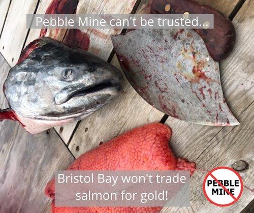 Pebble can't be trusted, especially in a time of COVID.