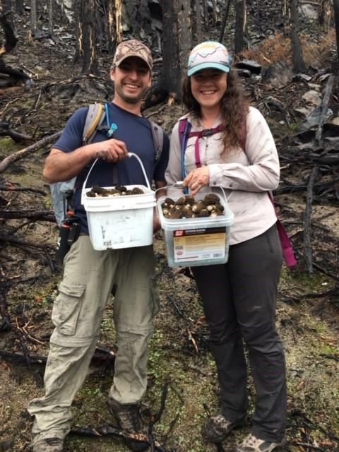 Brook collects mushrooms with Josh in 2020, 10 years after she started with Trustees.
