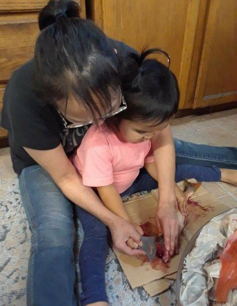 Fannie teaches her grandbaby to split fish using a uluaq or ulu knife.