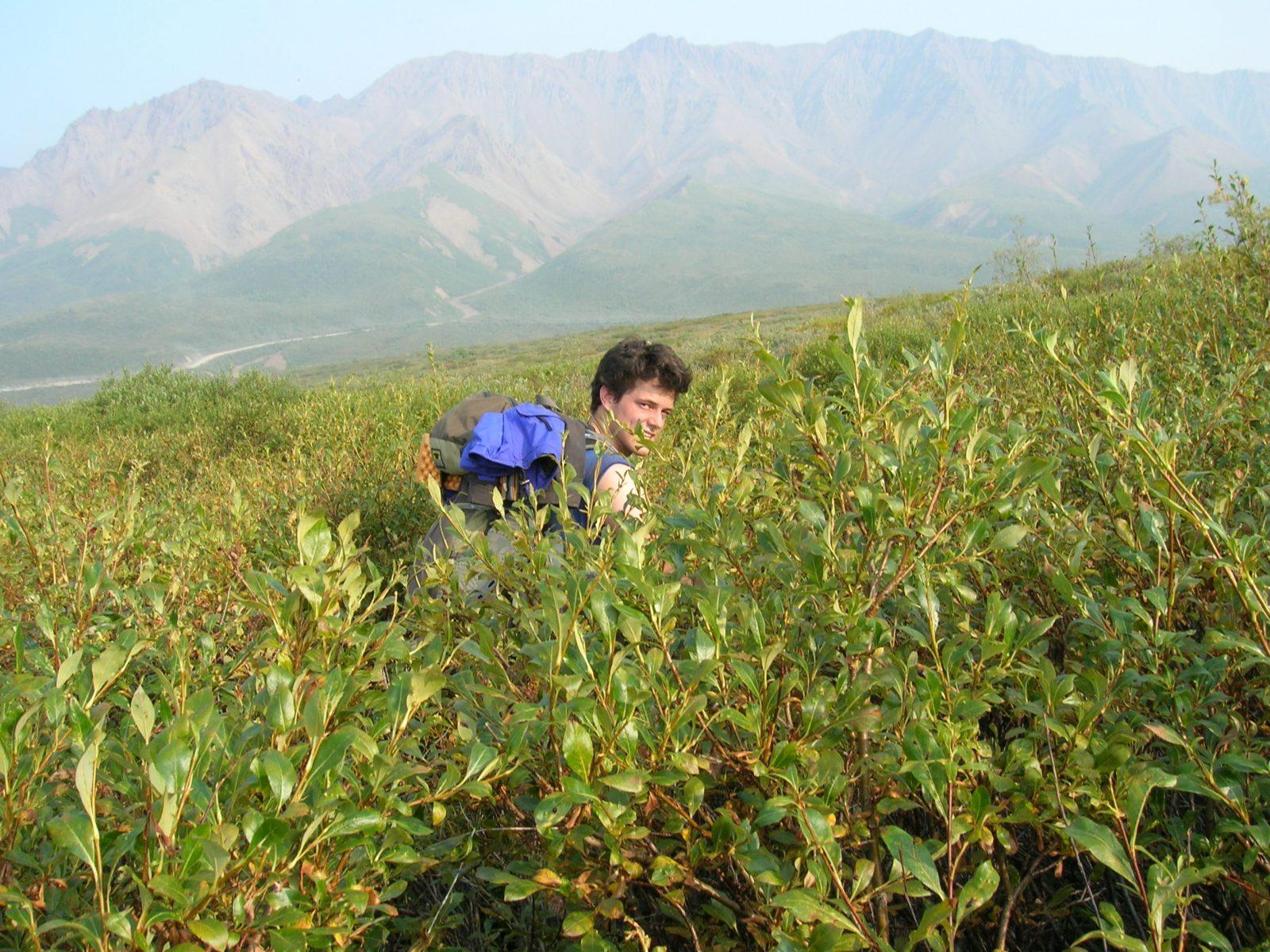 Carl getting a jump start on the ole' bucket list in Denali National Park